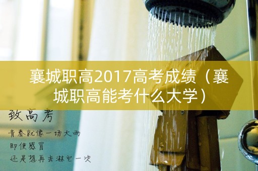 襄城职高2017高考成绩（襄城职高能考什么大学）