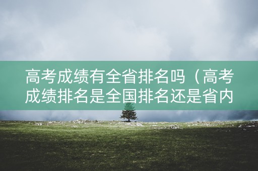高考成绩有全省排名吗（高考成绩排名是全国排名还是省内排名）