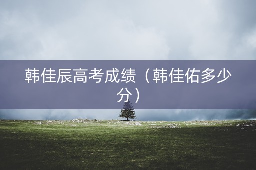 韩佳辰高考成绩（韩佳佑多少分）