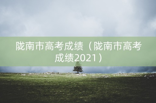 陇南市高考成绩（陇南市高考成绩2021）