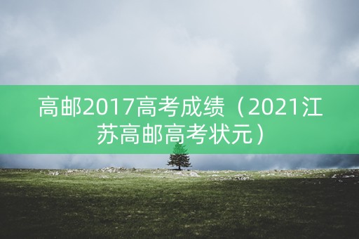高邮2017高考成绩（2021江苏高邮高考状元）