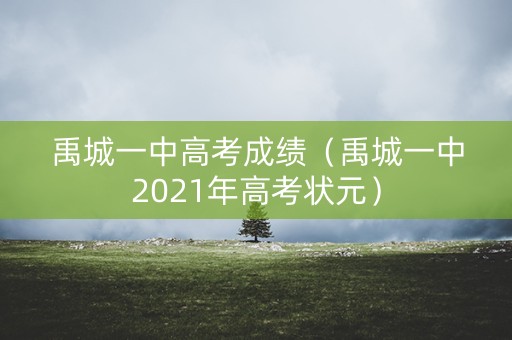 禹城一中高考成绩（禹城一中2021年高考状元）