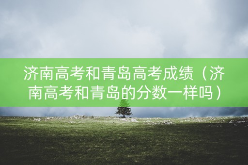 济南高考和青岛高考成绩（济南高考和青岛的分数一样吗）