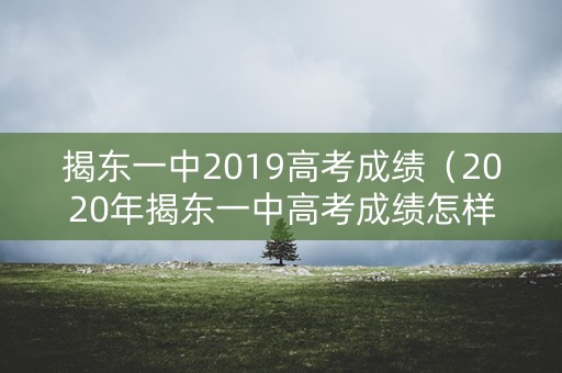 揭东一中2019高考成绩（2020年揭东一中高考成绩怎样）