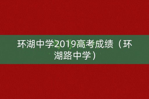 环湖中学2019高考成绩（环湖路中学）