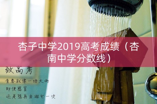 杏子中学2019高考成绩（杏南中学分数线）