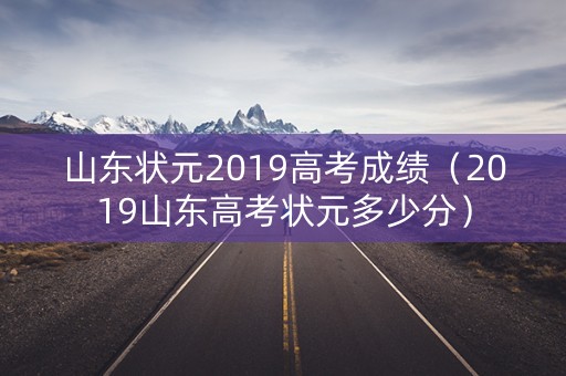山东状元2019高考成绩（2019山东高考状元多少分）