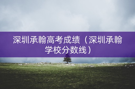深圳承翰高考成绩（深圳承翰学校分数线）