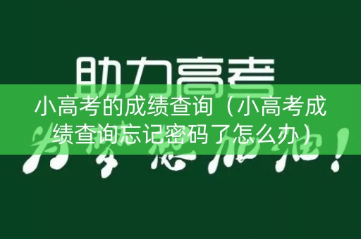 小高考的成绩查询（小高考成绩查询忘记密码了怎么办）