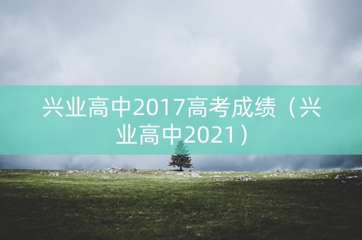 兴业高中2017高考成绩（兴业高中2021）