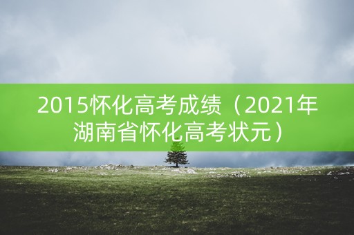 2015怀化高考成绩（2021年湖南省怀化高考状元）
