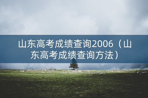 山东高考成绩查询2006（山东高考成绩查询方法）