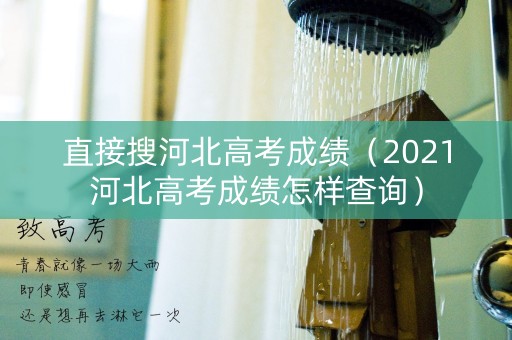 直接搜河北高考成绩（2021河北高考成绩怎样查询）