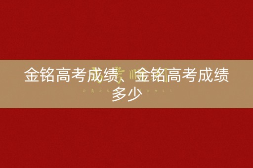金铭高考成绩、金铭高考成绩多少