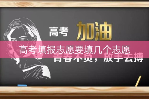 高考填报志愿要填几个志愿