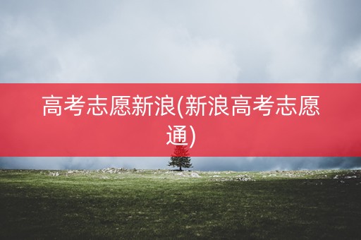 高考志愿新浪(新浪高考志愿通)