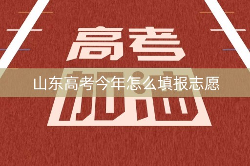 山东高考今年怎么填报志愿