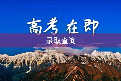 录取查询
