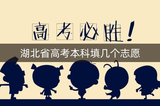 湖北省高考本科填几个志愿