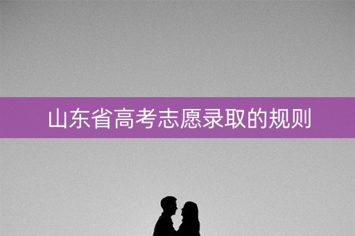 山东省高考志愿录取的规则