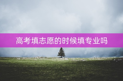 高考填志愿的时候填专业吗