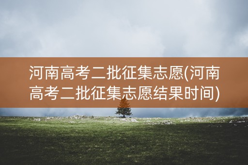 河南高考二批征集志愿(河南高考二批征集志愿结果时间)