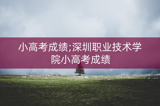 小高考成绩;深圳职业技术学院小高考成绩