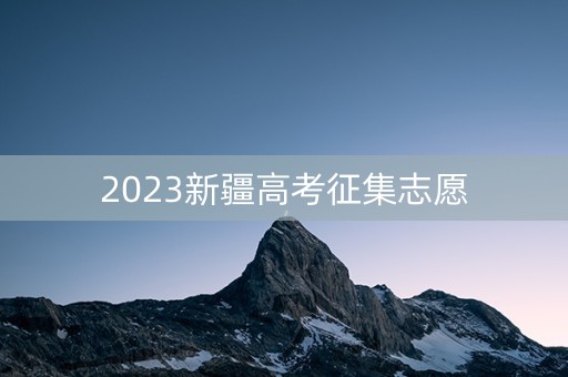 2023新疆高考征集志愿