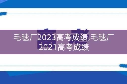 毛毯厂2023高考成绩,毛毯厂2021高考成绩