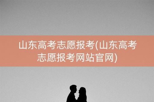 山东高考志愿报考(山东高考志愿报考网站官网)