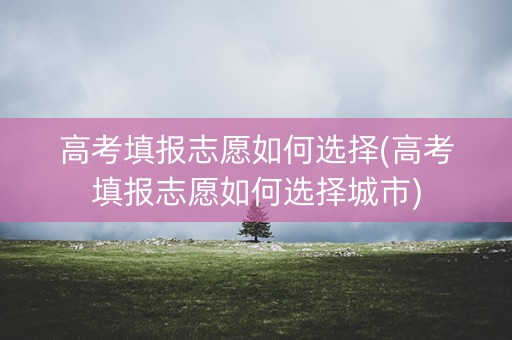 高考填报志愿如何选择(高考填报志愿如何选择城市) 高考填报志愿如何选择(高考填报志愿如何选择城市)
