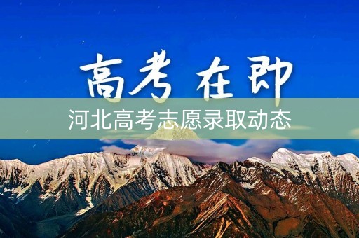 河北高考志愿录取动态