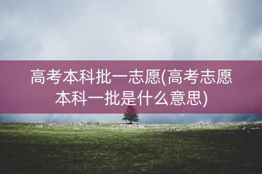 高考本科批一志愿(高考志愿本科一批是什么意思) 高考本科批一志愿(高考志愿本科一批是什么意思)