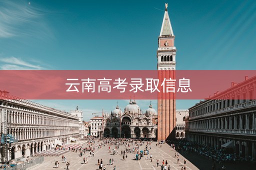 云南高考录取信息