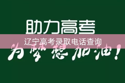 辽宁高考录取电话查询 辽宁高考录取电话查询