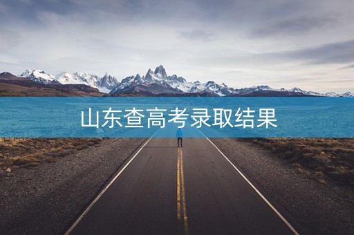 山东查高考录取结果