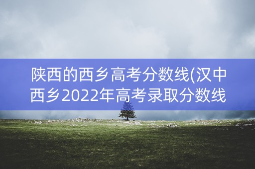 陕西的西乡高考分数线(汉中西乡2022年高考录取分数线)