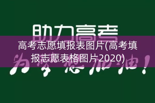 高考志愿填报表图片(高考填报志愿表格图片2020)
