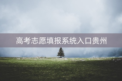高考志愿填报系统入口贵州
