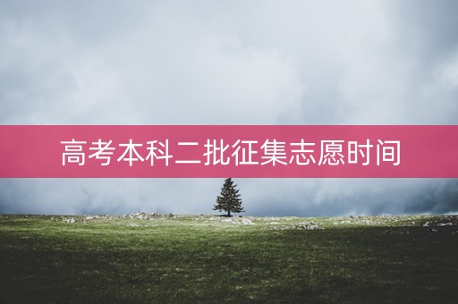高考本科二批征集志愿时间 高考本科二批征集志愿时间