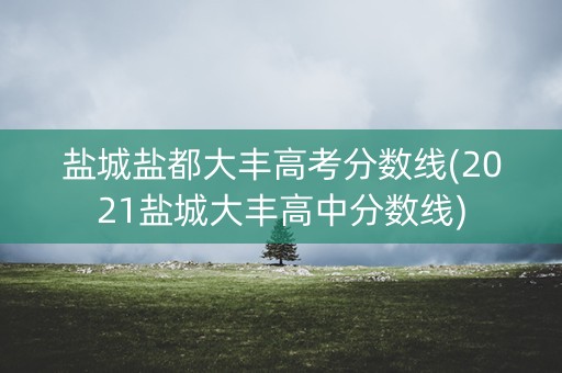 盐城盐都大丰高考分数线(2021盐城大丰高中分数线)