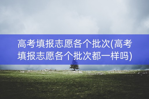 高考填报志愿各个批次(高考填报志愿各个批次都一样吗)