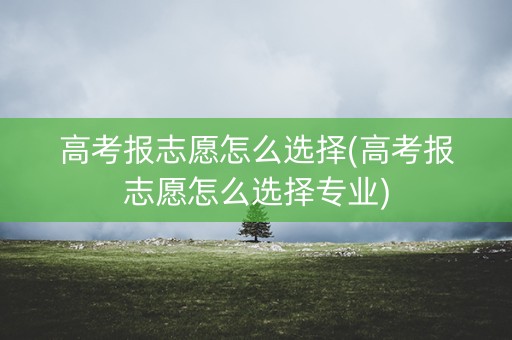 高考报志愿怎么选择(高考报志愿怎么选择专业) 高考报志愿怎么选择(高考报志愿怎么选择专业)