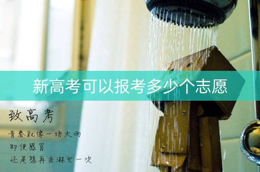 新高考可以报考多少个志愿 新高考可以报考多少个志愿