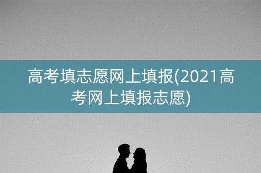 高考填志愿网上填报(2021高考网上填报志愿)