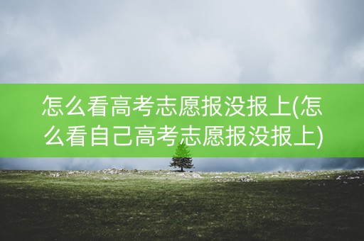 怎么看高考志愿报没报上(怎么看自己高考志愿报没报上) 怎么看高考志愿报没报上(怎么看自己高考志愿报没报上)