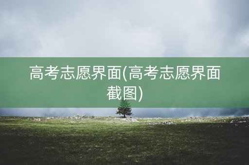 高考志愿界面(高考志愿界面截图) 高考志愿界面(高考志愿界面截图)