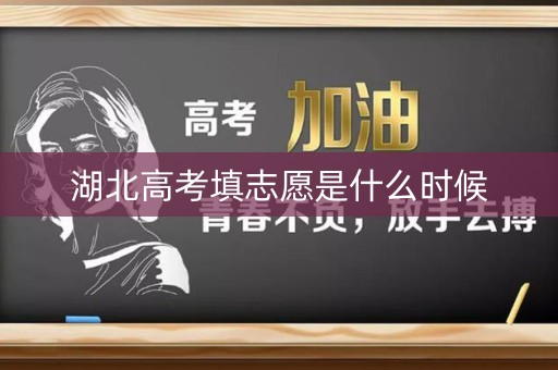 湖北高考填志愿是什么时候