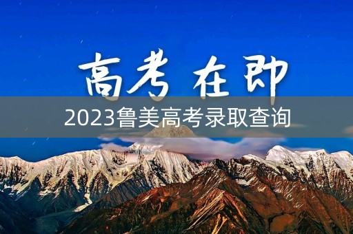 2023鲁美高考录取查询