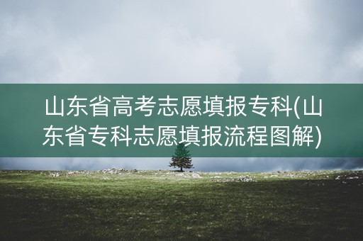 山东省高考志愿填报专科(山东省专科志愿填报流程图解)